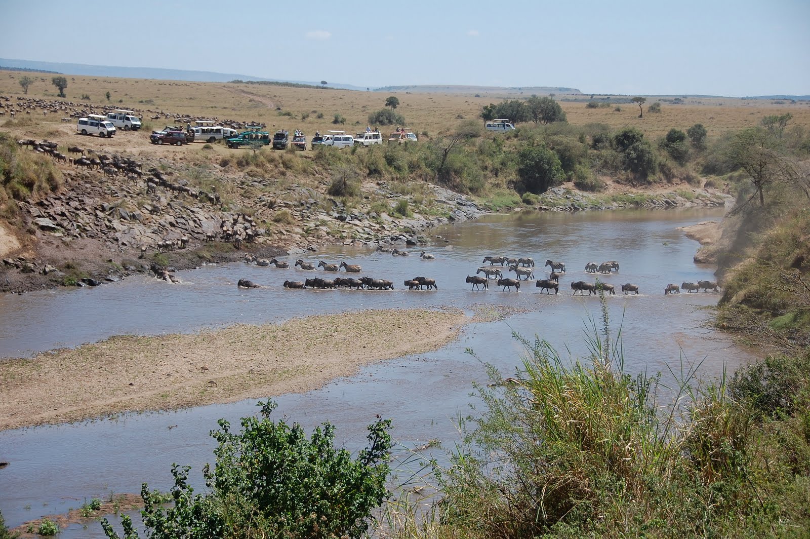 Africa:Kenya (Masai Mara Park) Africa:Kenya (Masai Mara Park)