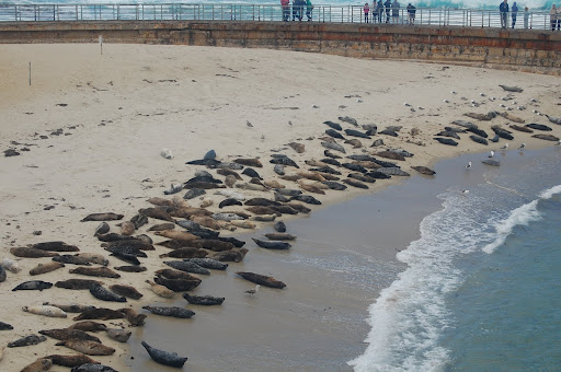 San Diego, La Jolla San Diego, La Jolla