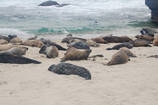 San Diego, La Jolla San Diego, La Jolla