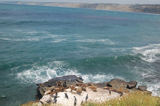 San Diego, La Jolla San Diego, La Jolla