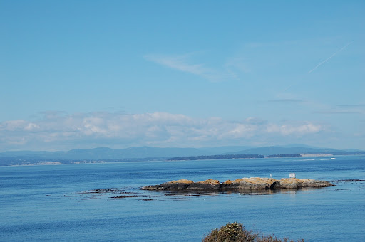  Washington: San Juan Island