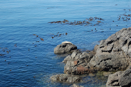  Washington: San Juan Island