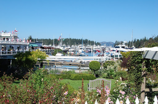  Washington: San Juan Island