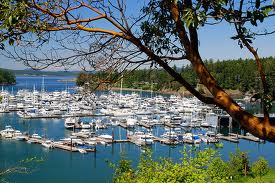  Washington: San Juan Island