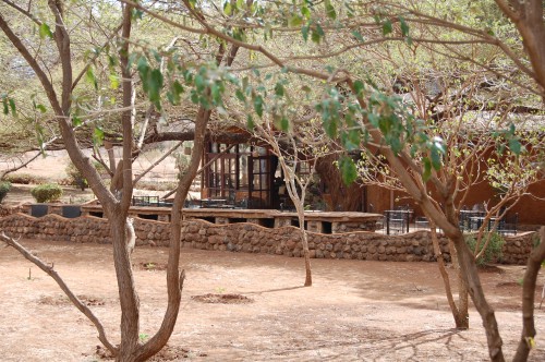 Africa: Kenya Amboseli Park, Where To Stay 