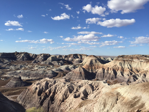 Petrified Forest & Painted Desert