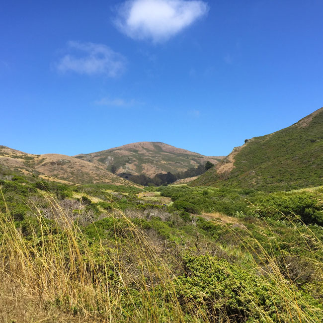 Tennessee Valley Hiking In The Marin Headlands