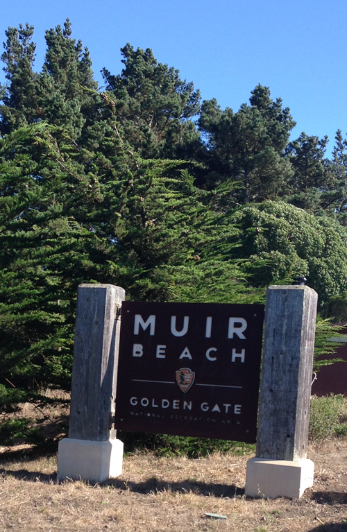 Muir Beach Overlook In The Marin Headlands