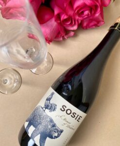 Sonoma Syrah Wines
