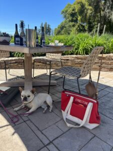 Anderson Valley Dog-Friendly Wineries