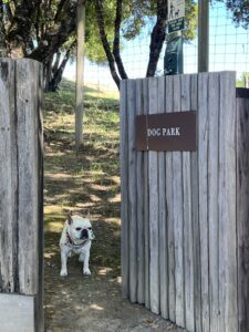 The Best Dog-Friendly Wineries in Anderson Valley Maggy Hawk