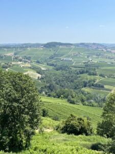 Merenda Sinoira Winery, Piedmonte One on the Hill Wine Club